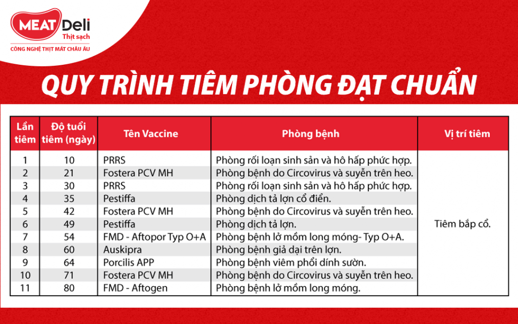 quy-trinh-11-mui-tiem-phong.png